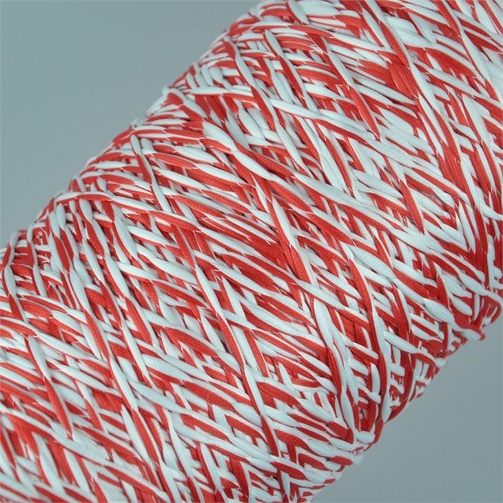 Multi Colors 100% Polyester Mop Microfiber Yarn